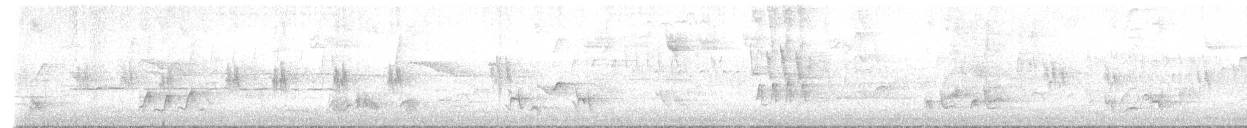 Тремблер прямодзьобий - ML618191709