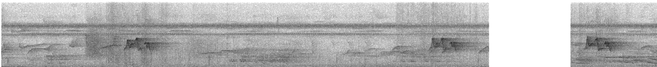 Короткохвостый виреончик (decurtata/darienensis) - ML618192419