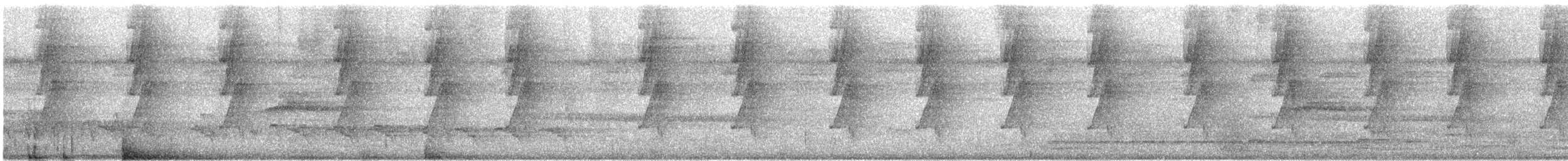 Uzun Gagalı Hermit [longirostris grubu] - ML618192444