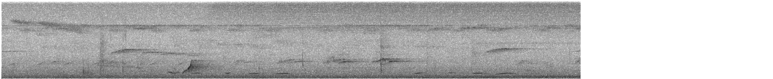 holub krátkozobý - ML618192454