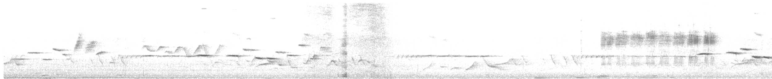 Малый короткокрыл - ML618192505