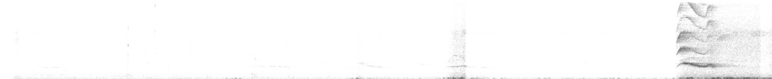 Тимельовець білочеревий - ML618193718
