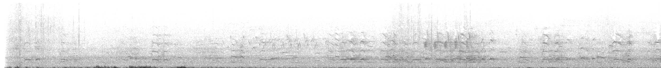 אווז לבן-מצח - ML618194481