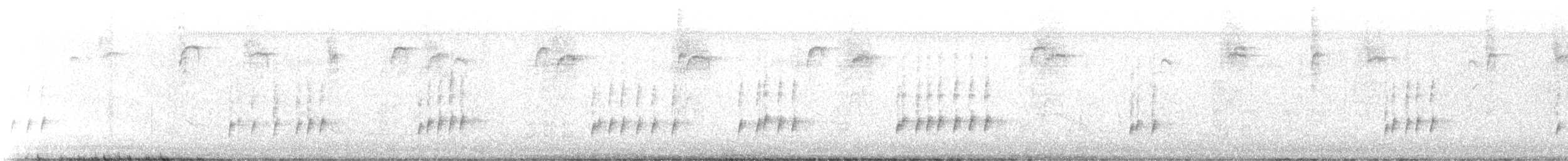 Troglodyte de Caroline - ML618194826
