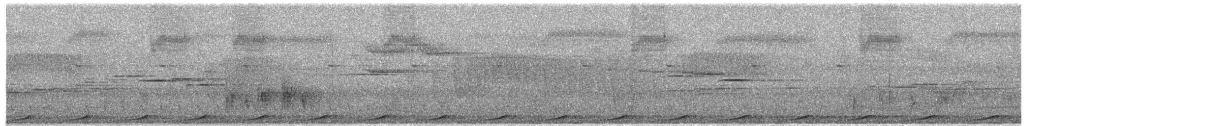 Малая кукушковая горлица - ML618195549
