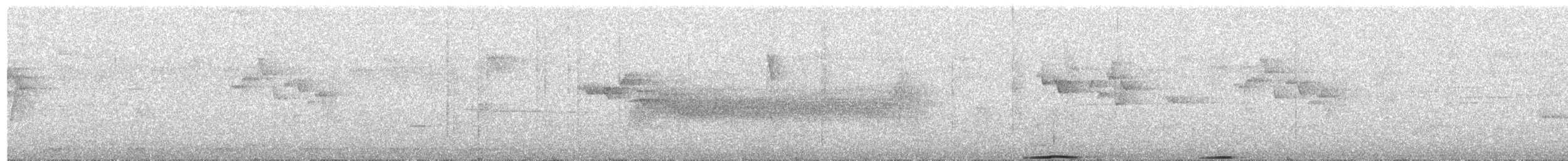 holub světlebřichý - ML618195757