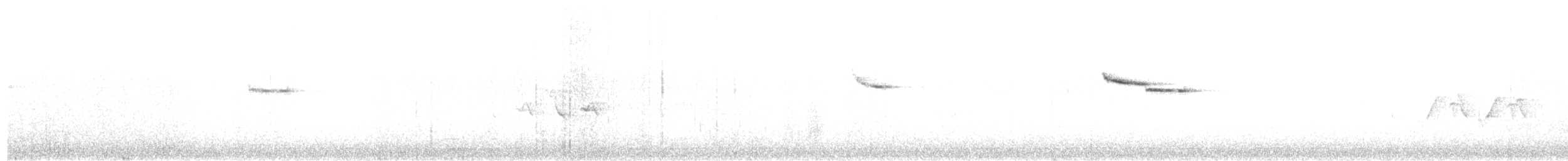 Pygmy Cupwing - ML618195909