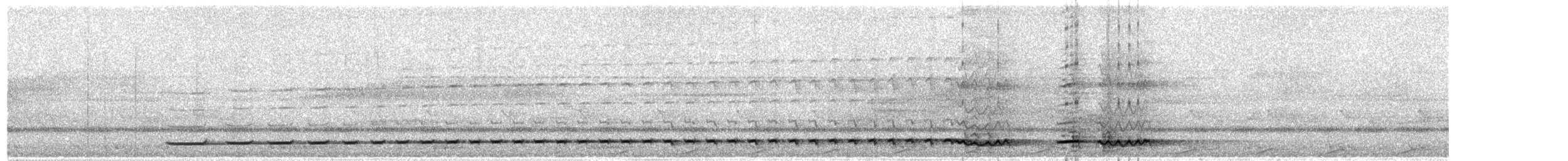 Augenwachtel - ML618196034