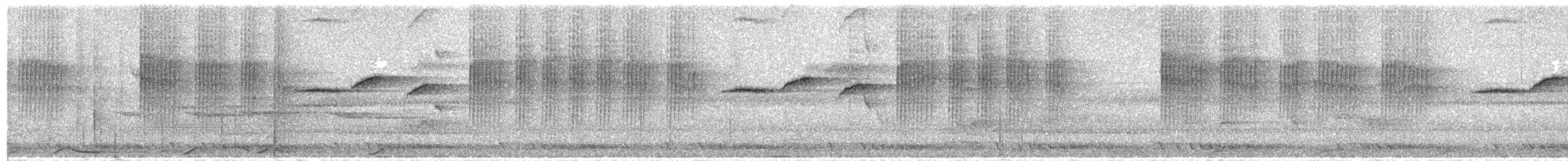 Rufous-browed Flycatcher - ML618196120