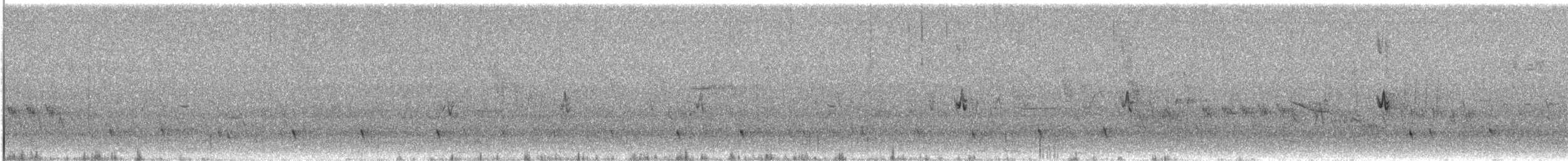 Brown-crested Flycatcher - ML618196138