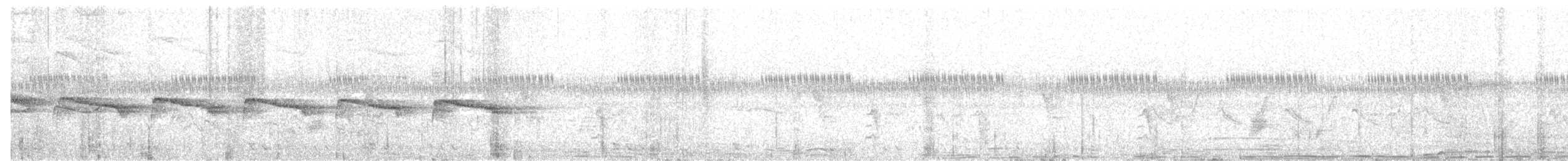 Попугаевый рогоклюв - ML618196556