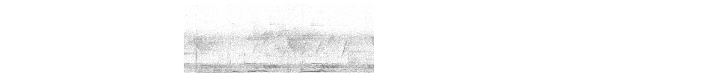 holub ostroocasý - ML618197315