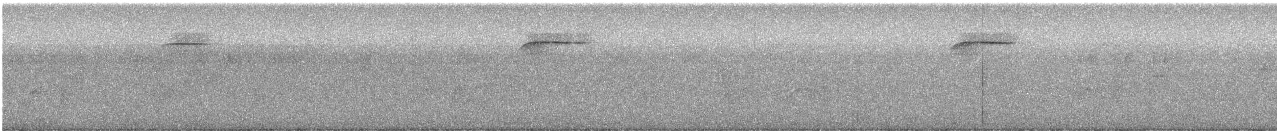 Пішак плямистий - ML618199270
