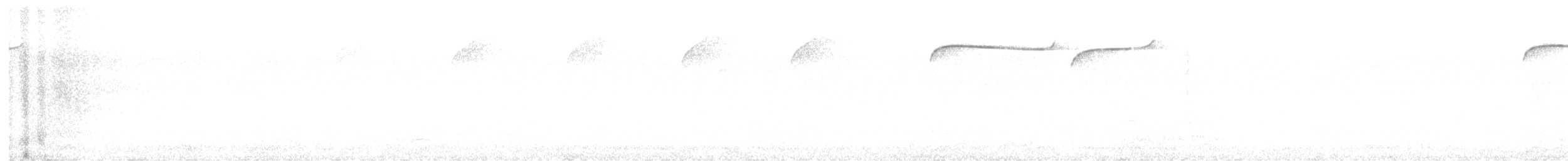 Cinclosome pointillé - ML618199644