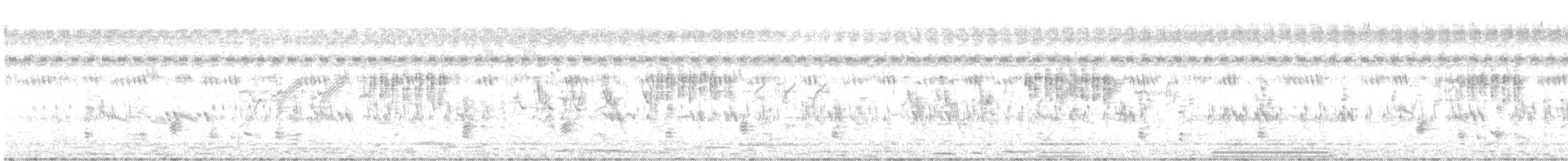 חרגולן סיבירי - ML618199784