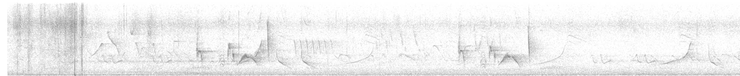 White-eyed Vireo - ML618201559