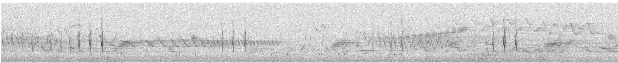 "Шишкар ялиновий (Appalachian, або тип 1)" - ML618201782