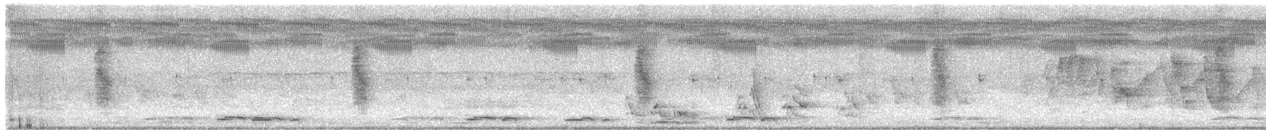 ハイガシラヒメカッコウ（variolosus グループ） - ML618205631