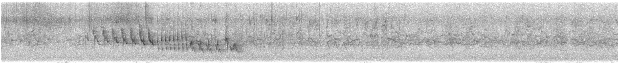 פרוש מצוי - ML618206523