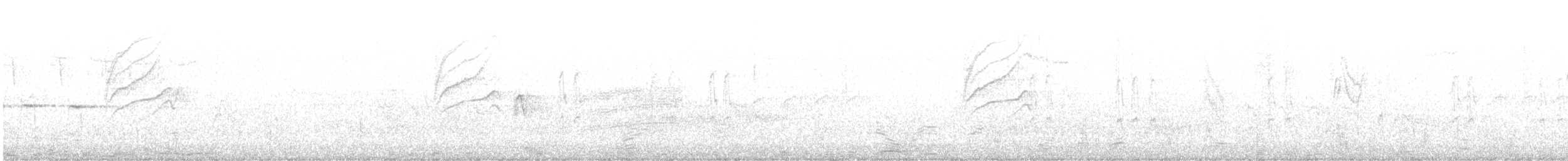 Pine Siskin - ML618207771