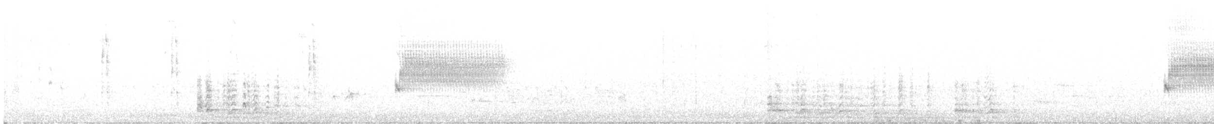 krocan divoký - ML618208163