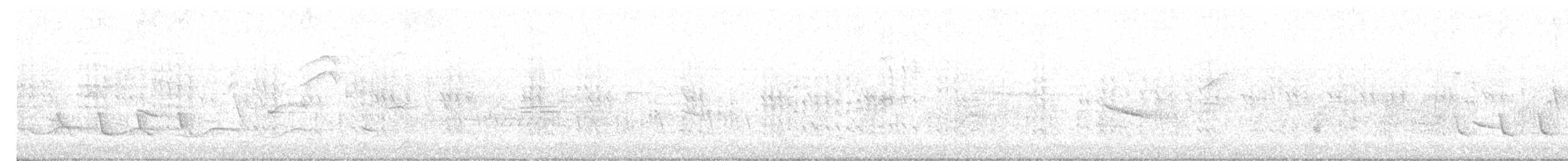 hvitvingebekard - ML618209326