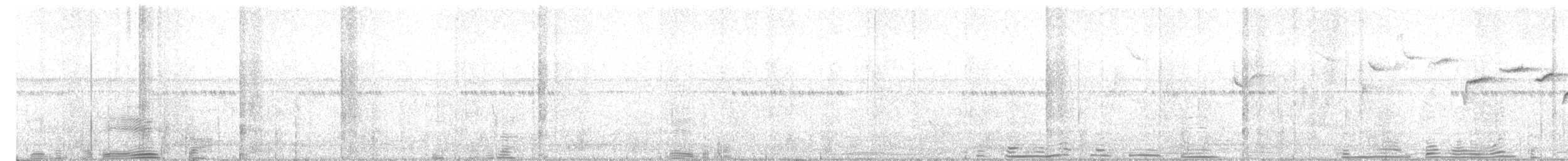 Paruline à paupières blanches - ML618209331