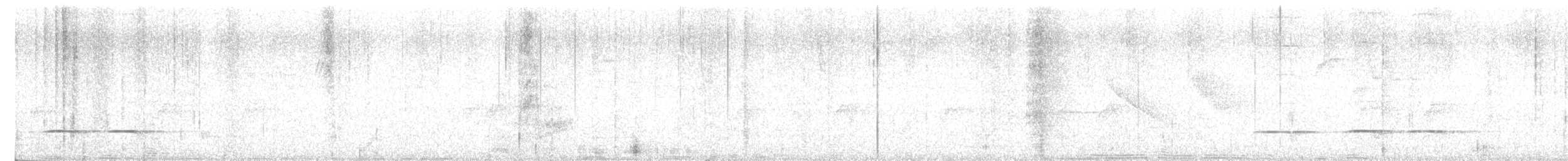 Ak Karınlı Yerçavuşu - ML618210511
