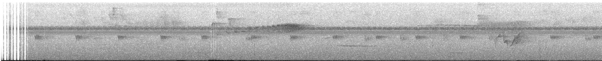 Batarito Coronipunteado - ML618210831