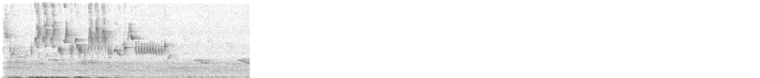 Northern House Wren - ML618214723