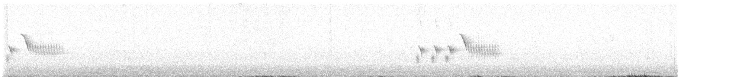Тауї плямистий - ML618215087