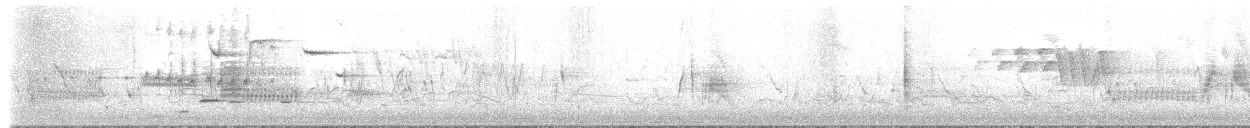 tyranovec vrbový - ML618218586