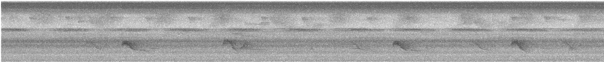 skogtyrann (flaviventris gr.) - ML618222511