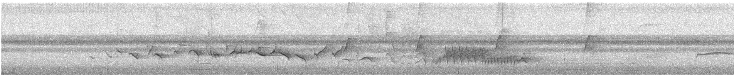 Kestane Karınlı Koca Tohumcul - ML618222526