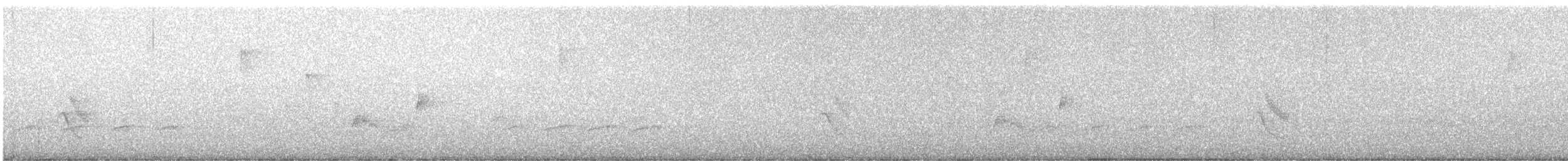 Gray-cheeked Thrush - ML618225172