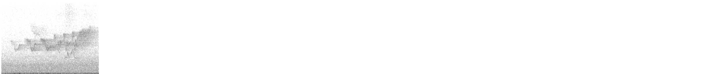Cerulean Warbler - ML618227021