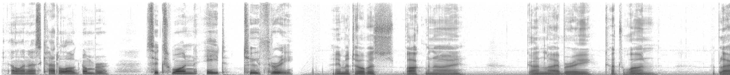 Black Oystercatcher - ML61823