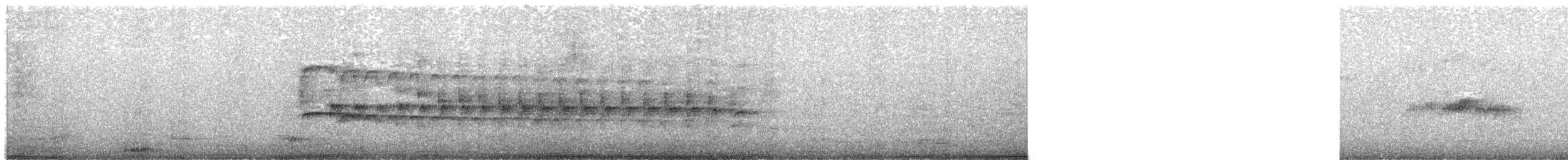 Тиранчик-тонкодзьоб південний - ML618230700