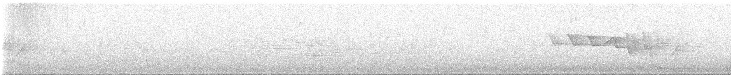 Трясогузковый певун - ML618235744