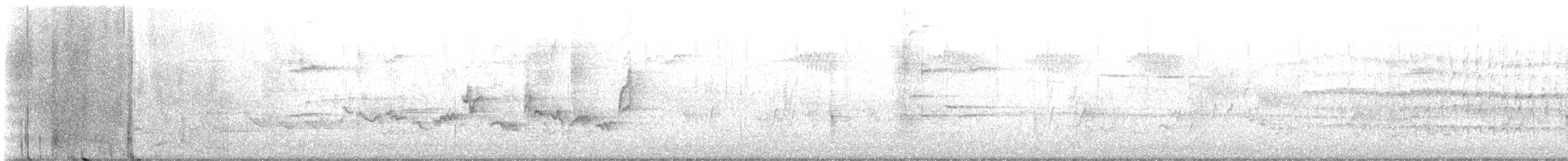 zelenáček švitořivý (ssp. gilvus) - ML618236071