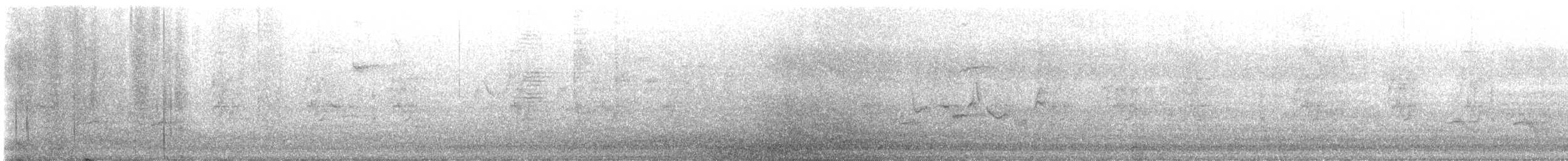 zelenáček švitořivý (ssp. gilvus) - ML618236072