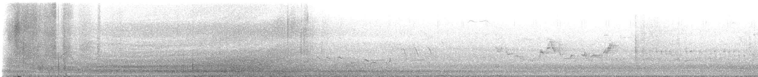 zelenáček švitořivý (ssp. gilvus) - ML618236073