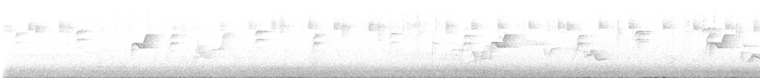 Cassin's Vireo - ML618236800