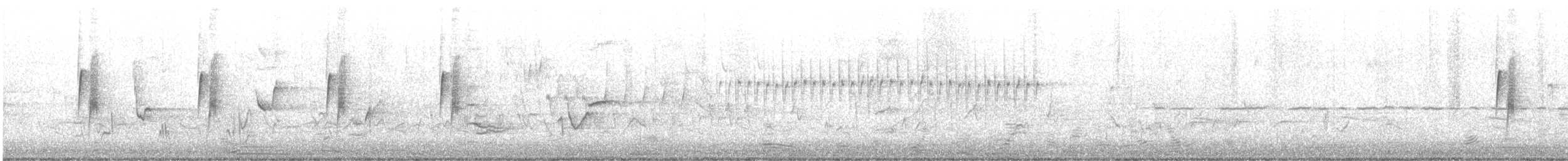 Zwergschnäppertyrann - ML618238007