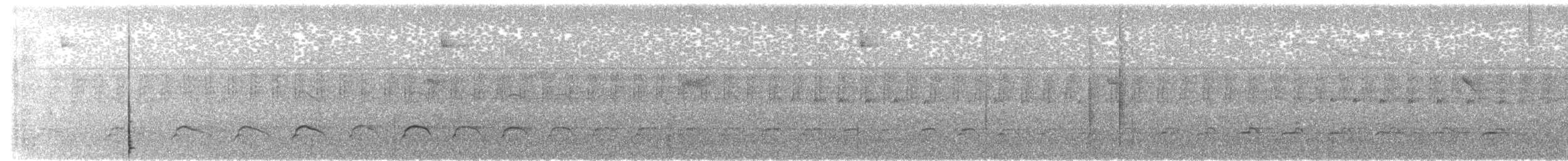 Полосатая агуйла - ML618240291