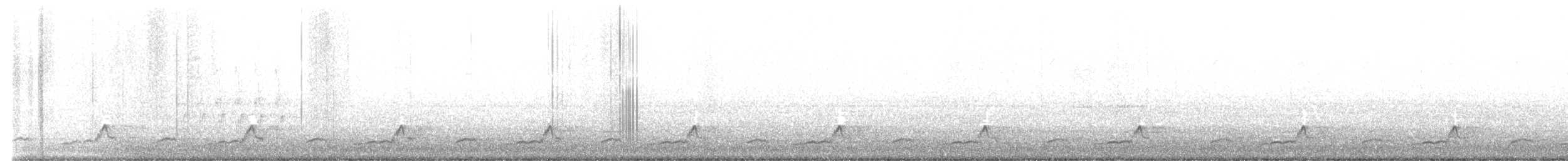 Schwarzkehl-Nachtschwalbe - ML618244567