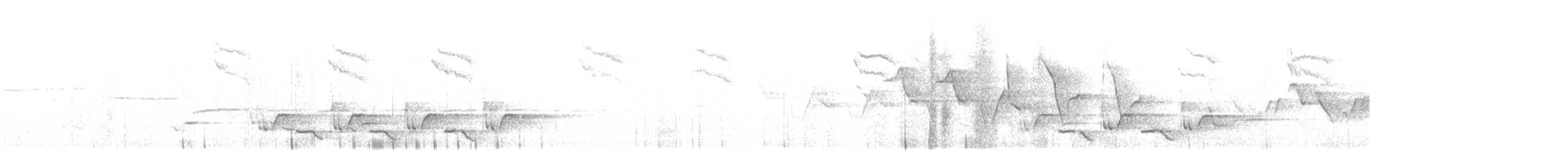Поплітник каролінський - ML618246507