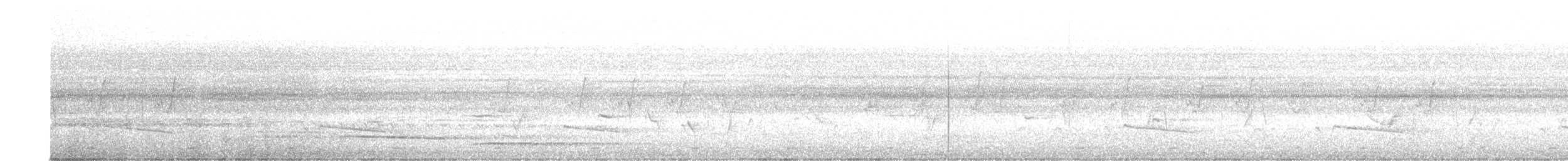 Gray-bellied Cuckoo - ML618247251