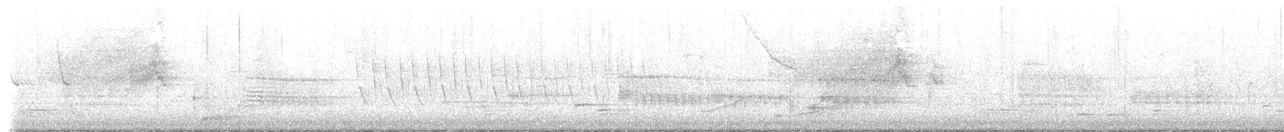 Pine Siskin - ML618248807