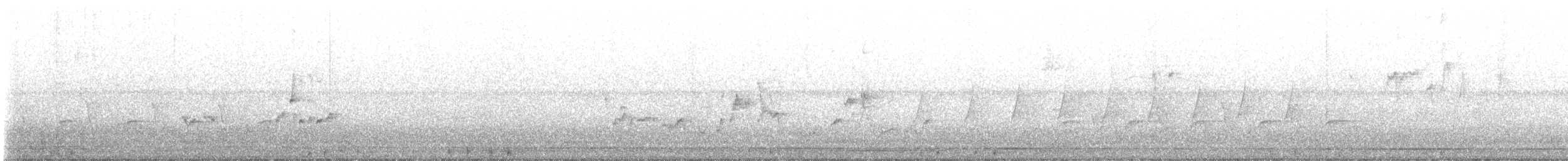 Поплітник каролінський - ML618250607
